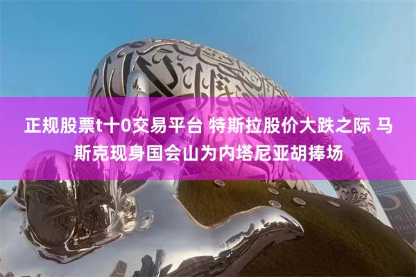 正规股票t十0交易平台 特斯拉股价大跌之际 马斯克现身国会山为内塔尼亚胡捧场