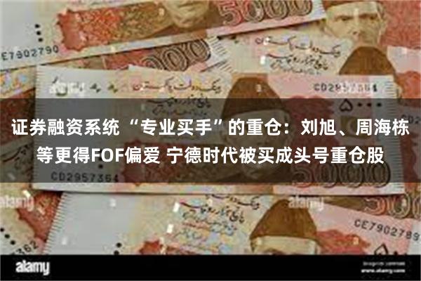 证券融资系统 “专业买手”的重仓：刘旭、周海栋等更得FOF偏爱 宁德时代被买成头号重仓股