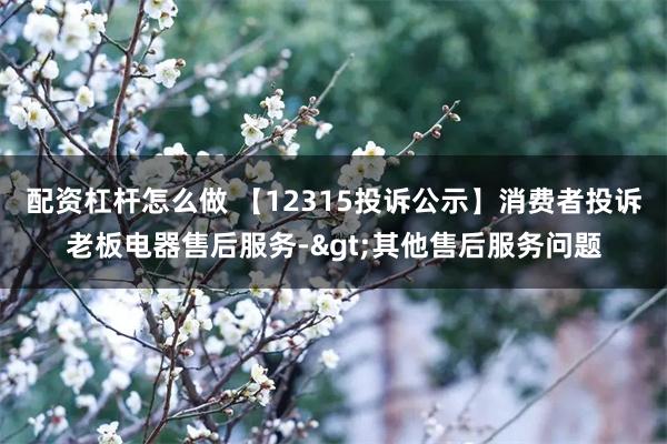 配资杠杆怎么做 【12315投诉公示】消费者投诉老板电器售后服务->其他售后服务问题