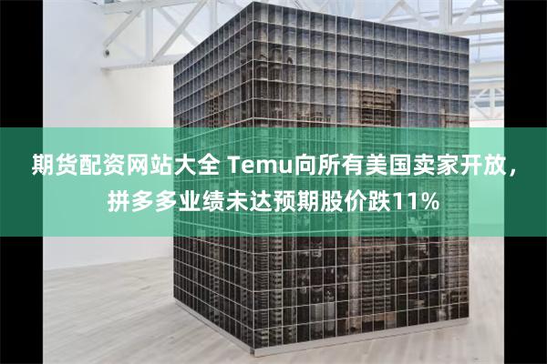 期货配资网站大全 Temu向所有美国卖家开放，拼多多业绩未达预期股价跌11%