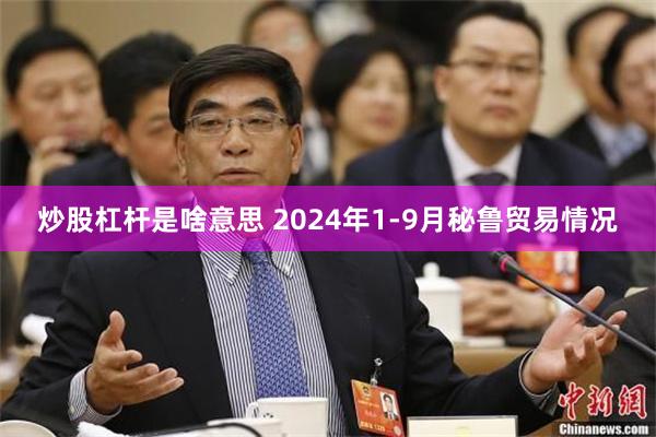 炒股杠杆是啥意思 2024年1-9月秘鲁贸易情况